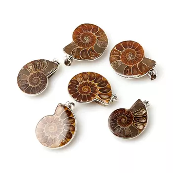 Кулон окаменелость (биж. сплав) 4-5 см