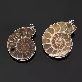 Кулон окаменелость (биж. сплав) 4-5 см