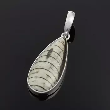Кулон окаменелость капля (серебро 925 пр.)