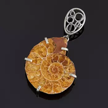 Кулон окаменелость (нейзильбер)