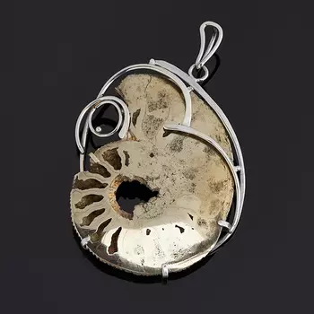 Кулон окаменелость (нейзильбер)
