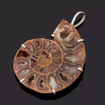 Кулон окаменелость (нейзильбер)