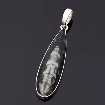 Кулон окаменелость (серебро 925 пр.)