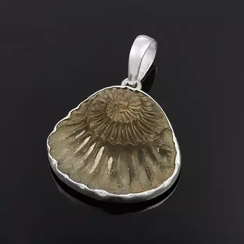Кулон окаменелость (серебро 925 пр.)
