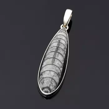 Кулон окаменелость (серебро 925 пр.)