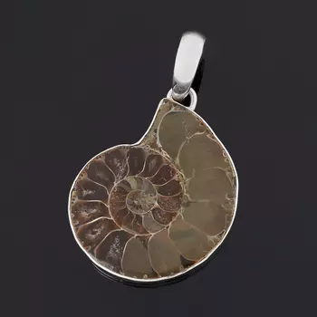 Кулон окаменелость (серебро 925 пр.)