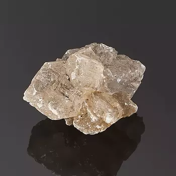 Образец гипс XS