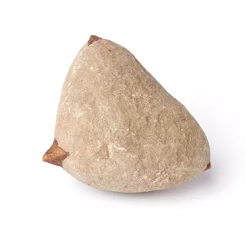 Образец глендонит (в породе) S (4-7 см)