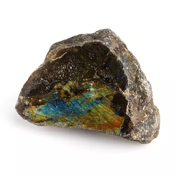 Образец лабрадор M (7-12 см)