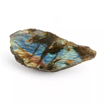 Образец лабрадор M (7-12 см)