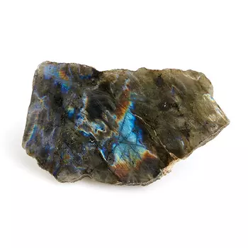 Образец лабрадор M (7-12 см)