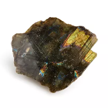 Образец лабрадор M (7-12 см)