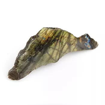 Образец лабрадор M (7-12 см)