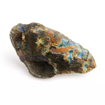 Образец лабрадор M (7-12 см)