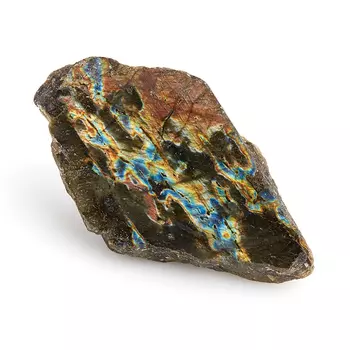 Образец лабрадор M (7-12 см)