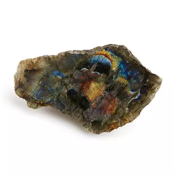 Образец лабрадор M (7-12 см)