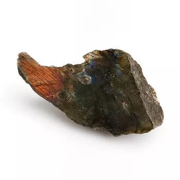 Образец лабрадор M (7-12 см)