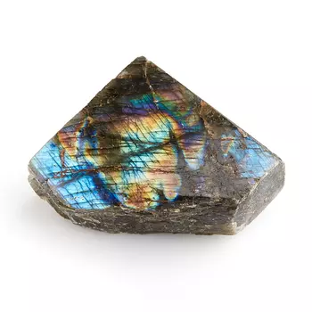 Образец лабрадор M (7-12 см)