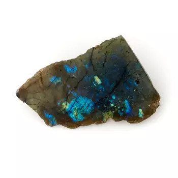 Образец лабрадор M (7-12 см) (1 шт)