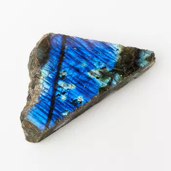 Образец лабрадор M (7-12 см) (1 шт)