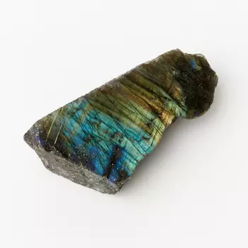 Образец лабрадор M (7-12 см) (1 шт)