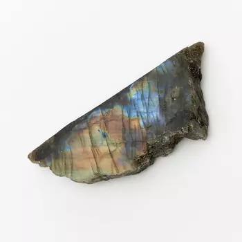 Образец лабрадор M (7-12 см) (1 шт)