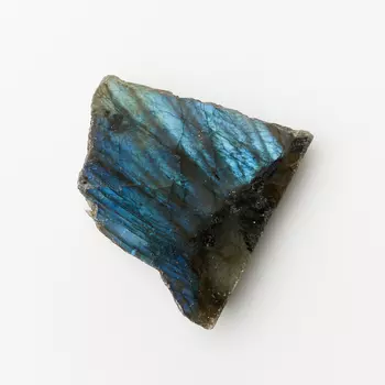 Образец лабрадор M (7-12 см) (1 шт)