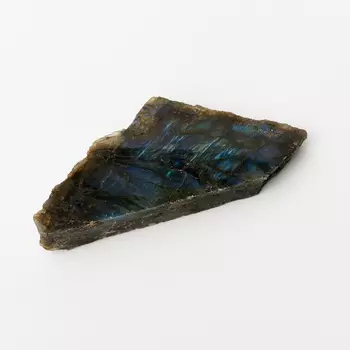 Образец лабрадор M (7-12 см)