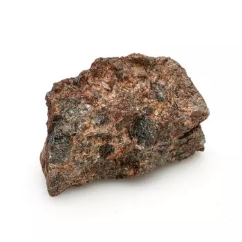 Образец лабрадор S