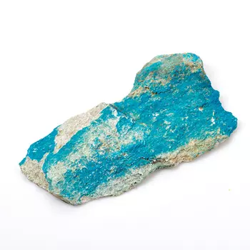 Образец лангит XL (16-20 см)