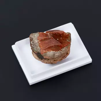 Образец опал благородный огненный (на подставке) (2-2,5 см)