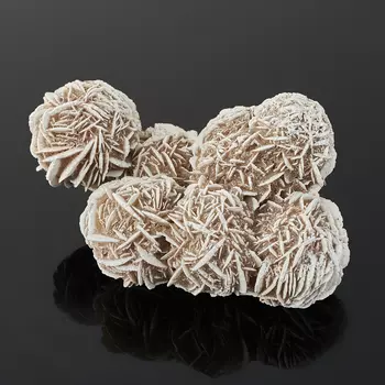 Образец пустынная роза M (7-12 см)