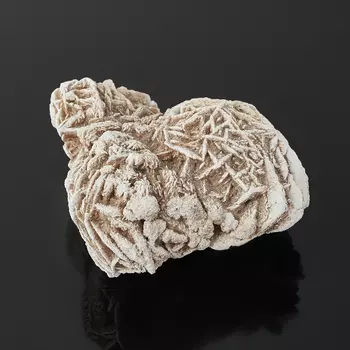 Образец пустынная роза M (7-12 см)