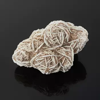 Образец пустынная роза M (7-12 см)