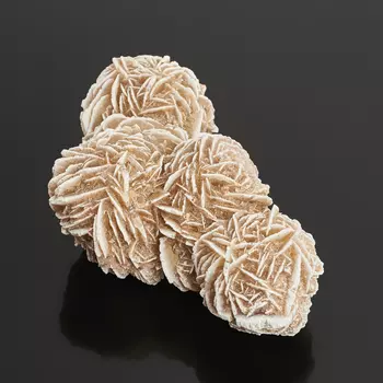 Образец пустынная роза M (7-12 см)