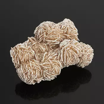 Образец пустынная роза M (7-12 см)