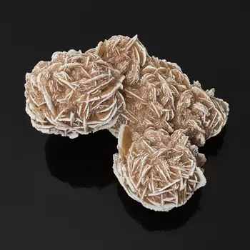 Образец пустынная роза M (7-12 см)