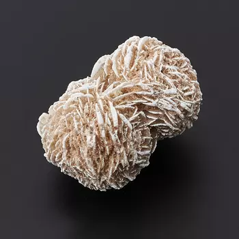 Образец пустынная роза XS (3-4 см) (1 шт)