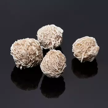 Образец пустынная роза XS (3-4 см) (1 шт)