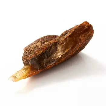 Образец янтарь XS