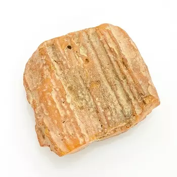 Образец янтарь XS