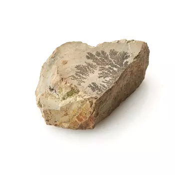 Образец сланец дендритовый S (4-7 см)