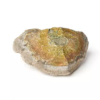 Образец спектропирит S (4-7 см)