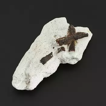 Образец ставролит M