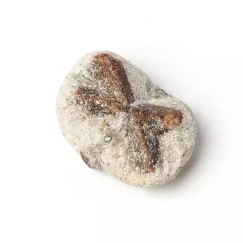 Образец ставролит XS (3-4 см) (1 шт)