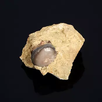 Окаменелость, агат XXS