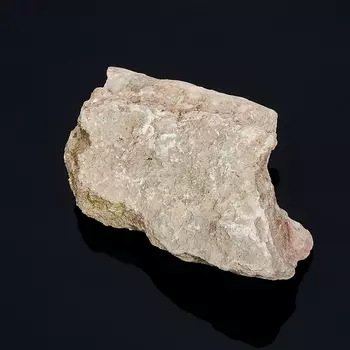 Окаменелость (фрагмент) S