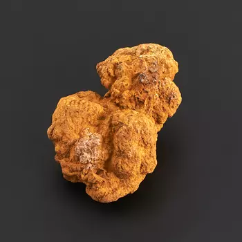 Окаменелость копролит S (4-7 см)