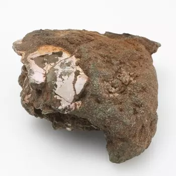 Окаменелость M