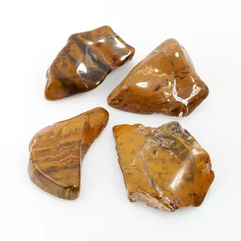 Окаменелость окаменелое дерево S (4-7 см) (1 шт)